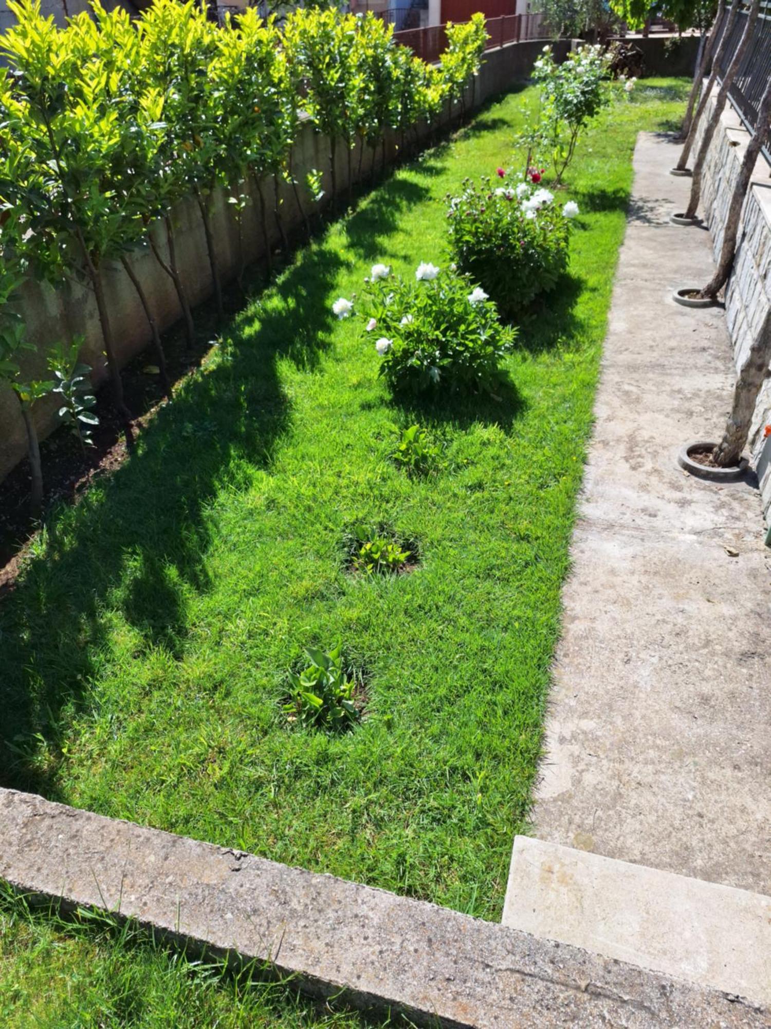 Apartment Slobo Trebinje Ngoại thất bức ảnh